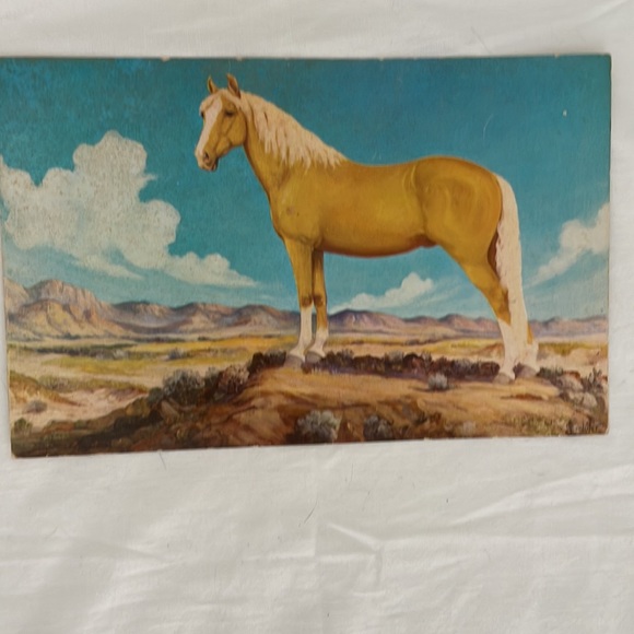 Vintage WesternStyle Large Post Card Trio - Picture 6 of 10